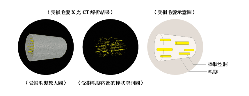 20251004-syxgs