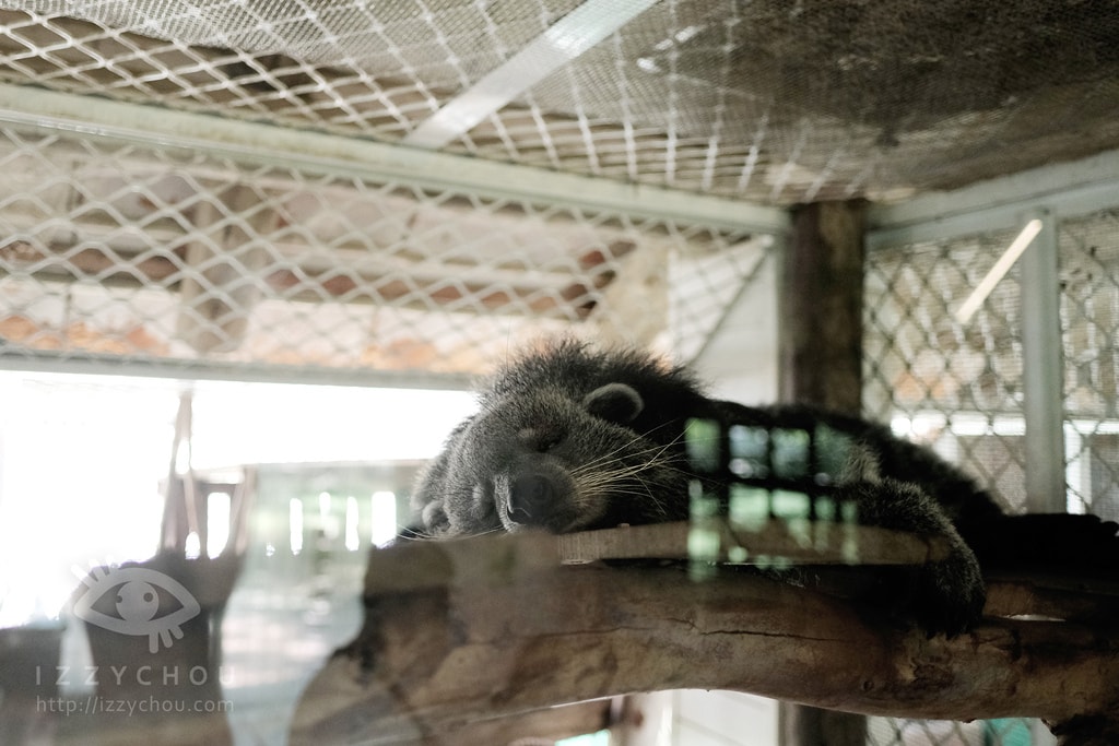 20251004-57v5s 20251004-57v5s