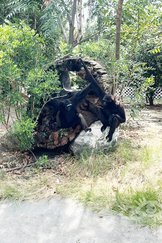 20251004-9f02c 20251004-9f02c