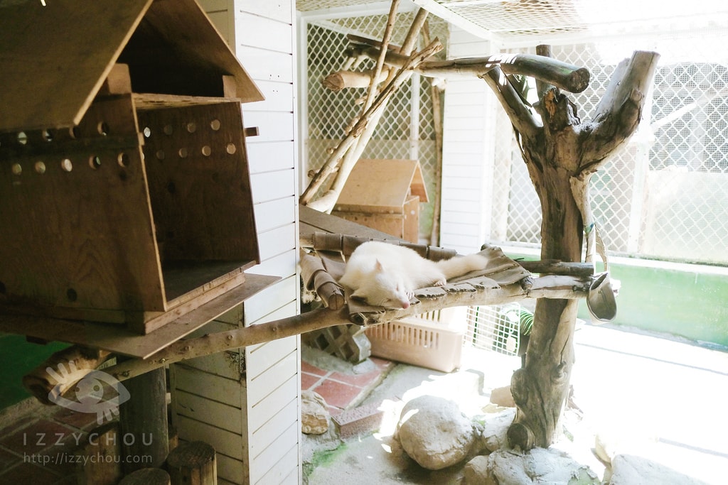 20251004-pfl8c 20251004-pfl8c