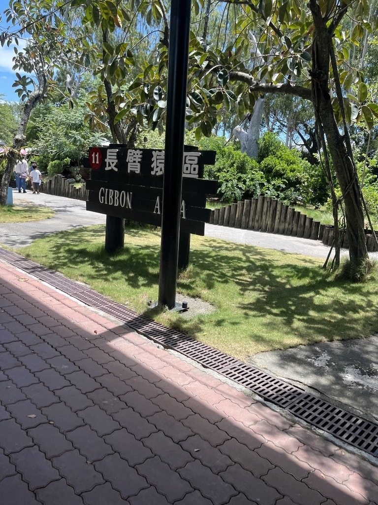 20251004-za0o9 20251004-za0o9