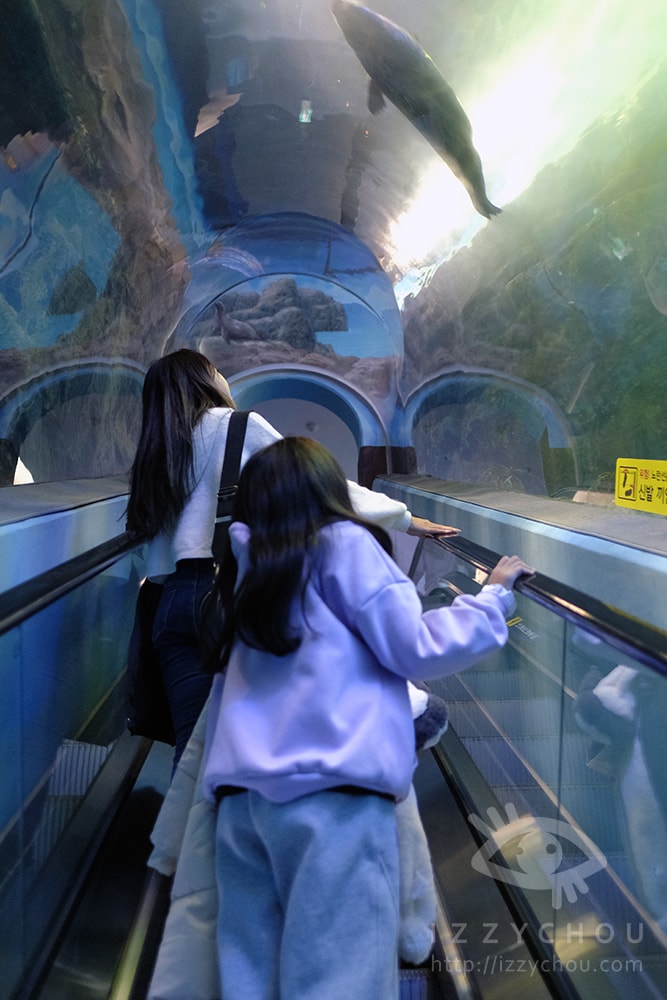 20251004-iu3wa 20251004-iu3wa