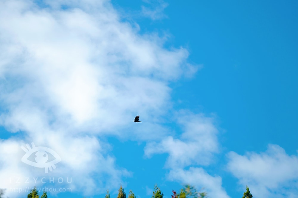 20251004-hoxib 20251004-hoxib