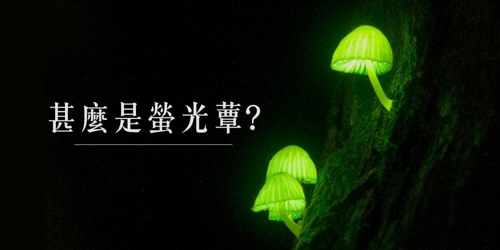 20251004-mg1bc 20251004-mg1bc