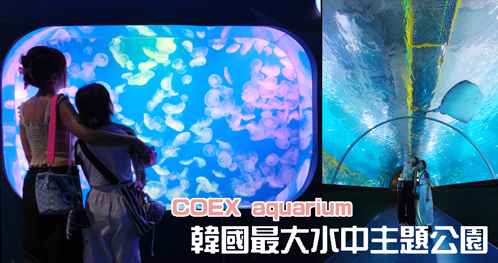 首爾室內景點推薦｜Coex 水族館｜交通位置、營業時間、購票優惠及16個展區介紹