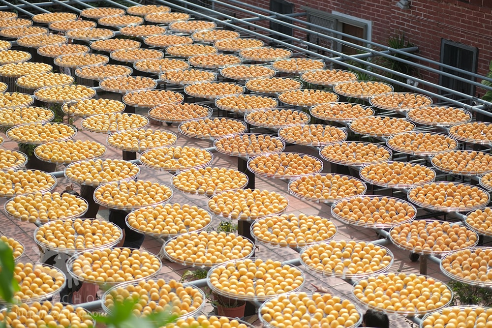 20251004-emz4r 20251004-emz4r