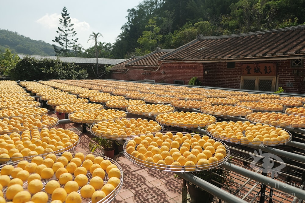 20251004-ff7fg 20251004-ff7fg