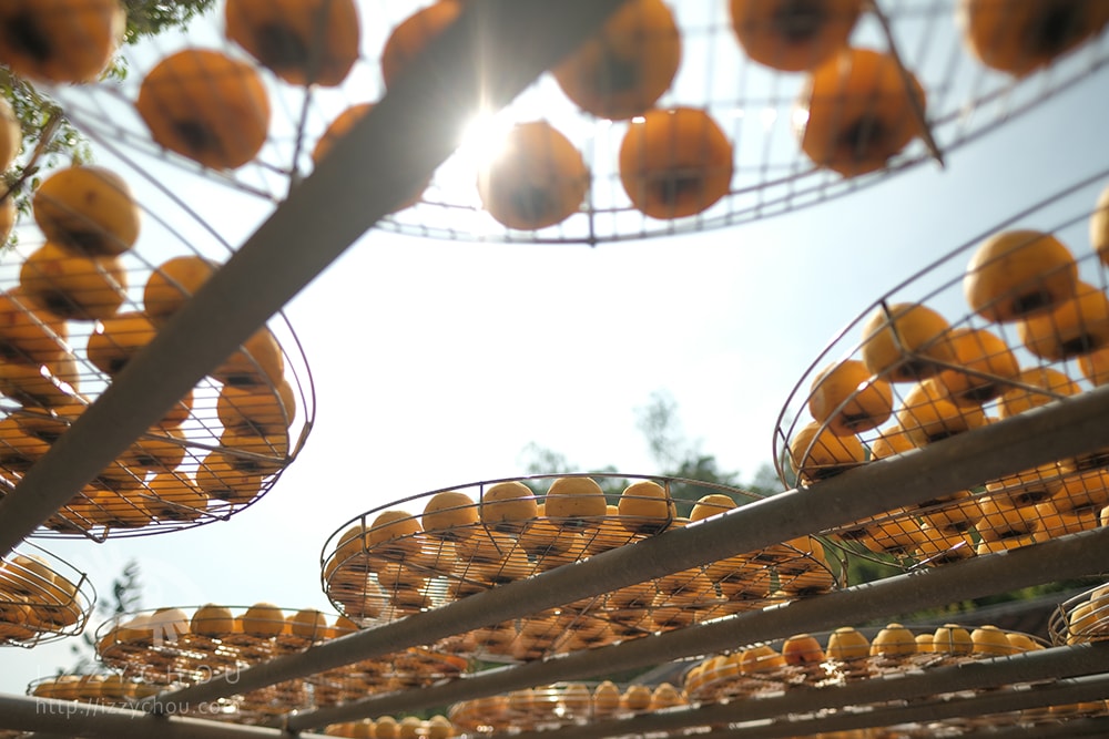 20251004-lv2l2 20251004-lv2l2