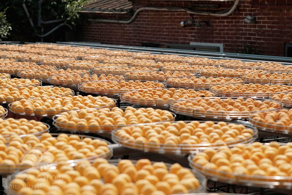 20251004-pfb63 20251004-pfb63