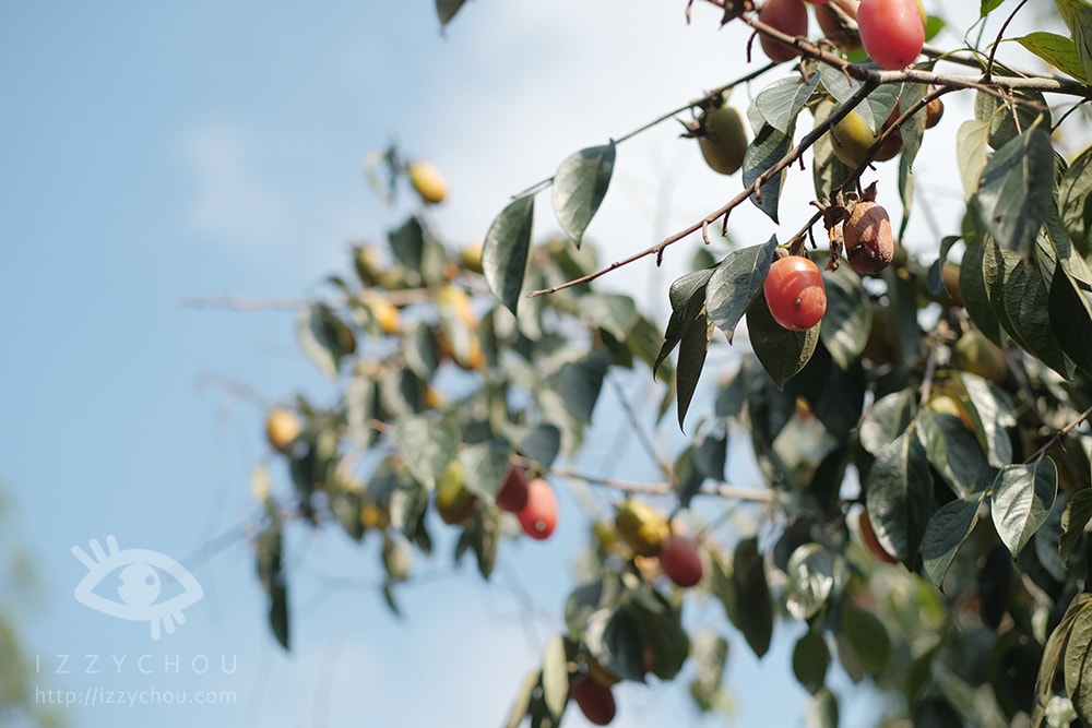 20251004-pp4v7 20251004-pp4v7