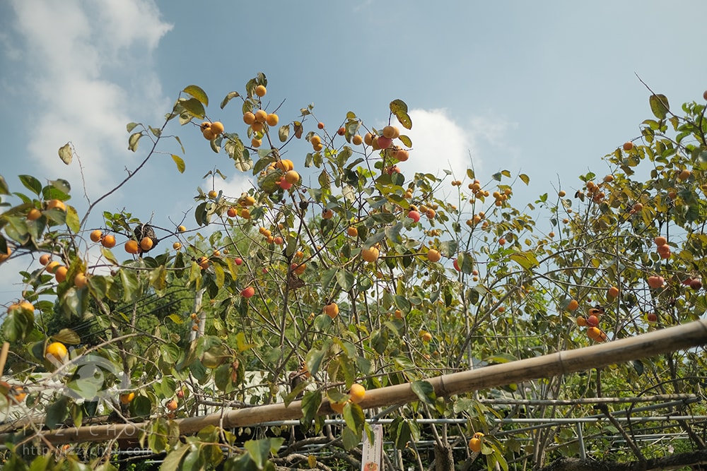 20251004-vrxyk 20251004-vrxyk