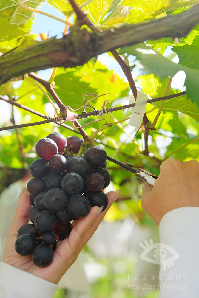 20251004-1ojxw 20251004-1ojxw