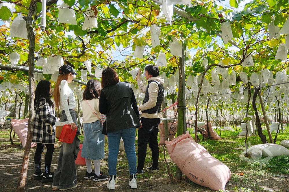 20251004-8qgbc 20251004-8qgbc