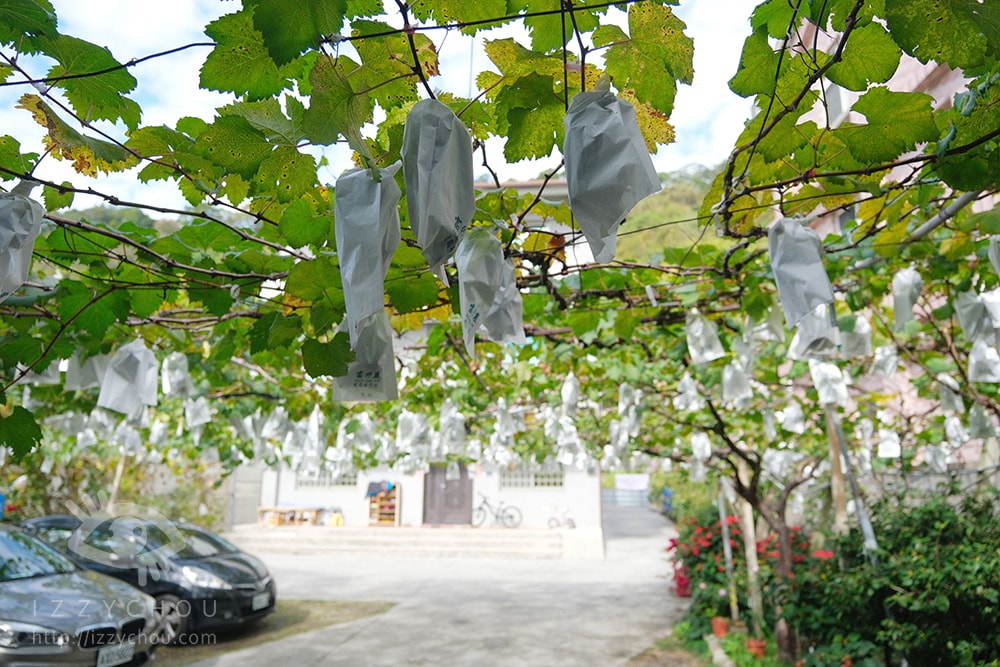 20251004-a7hs8 20251004-a7hs8