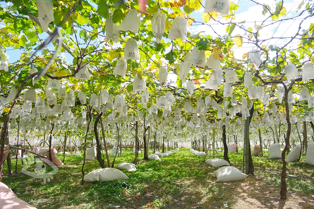 20251004-d1iun 20251004-d1iun