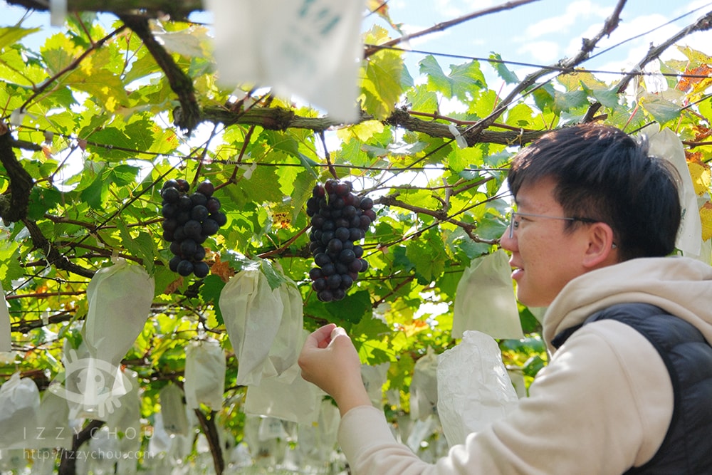 20251004-e7h26 20251004-e7h26