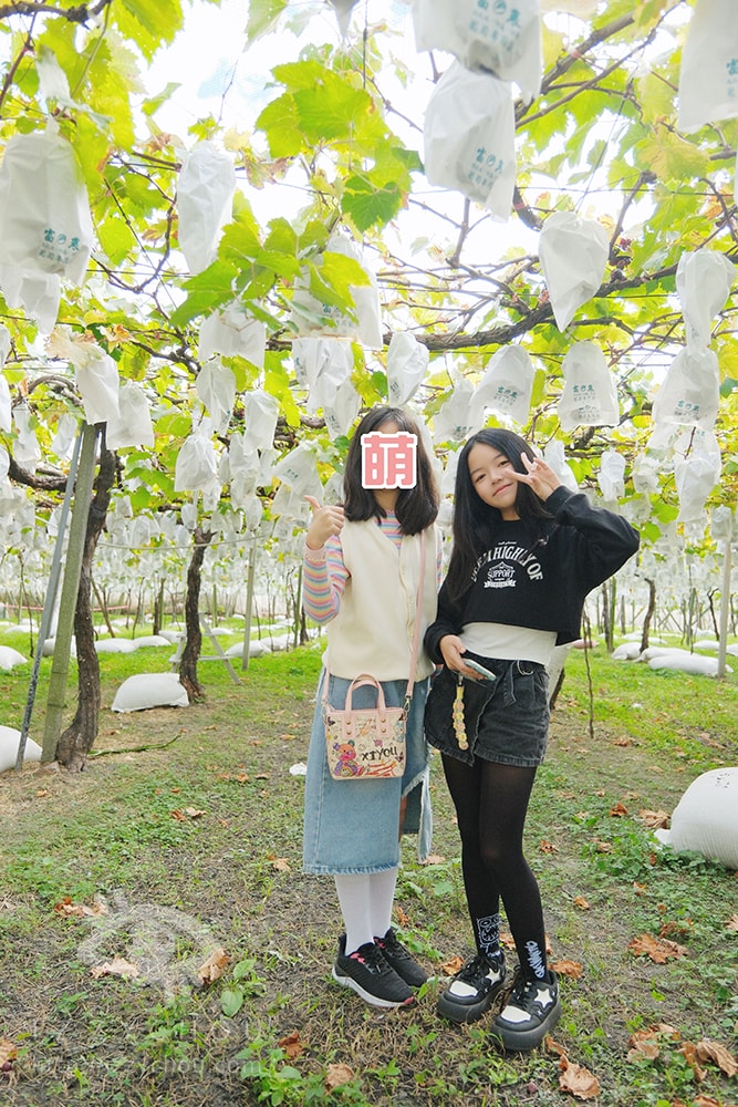 20251004-osqry 20251004-osqry