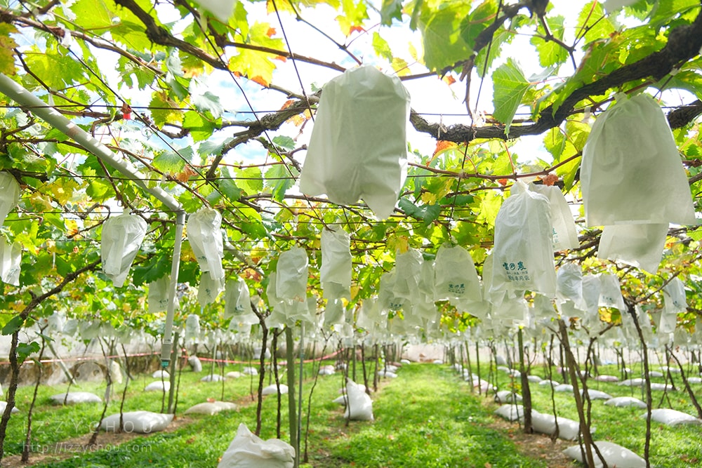 20251004-pk262 20251004-pk262