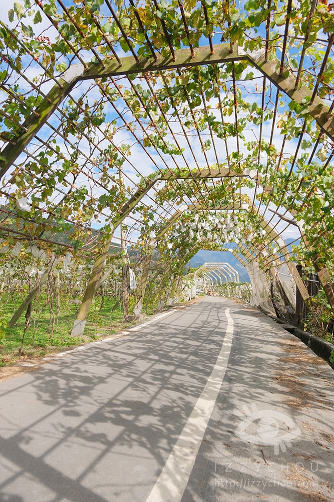 20251004-s0jxr 20251004-s0jxr