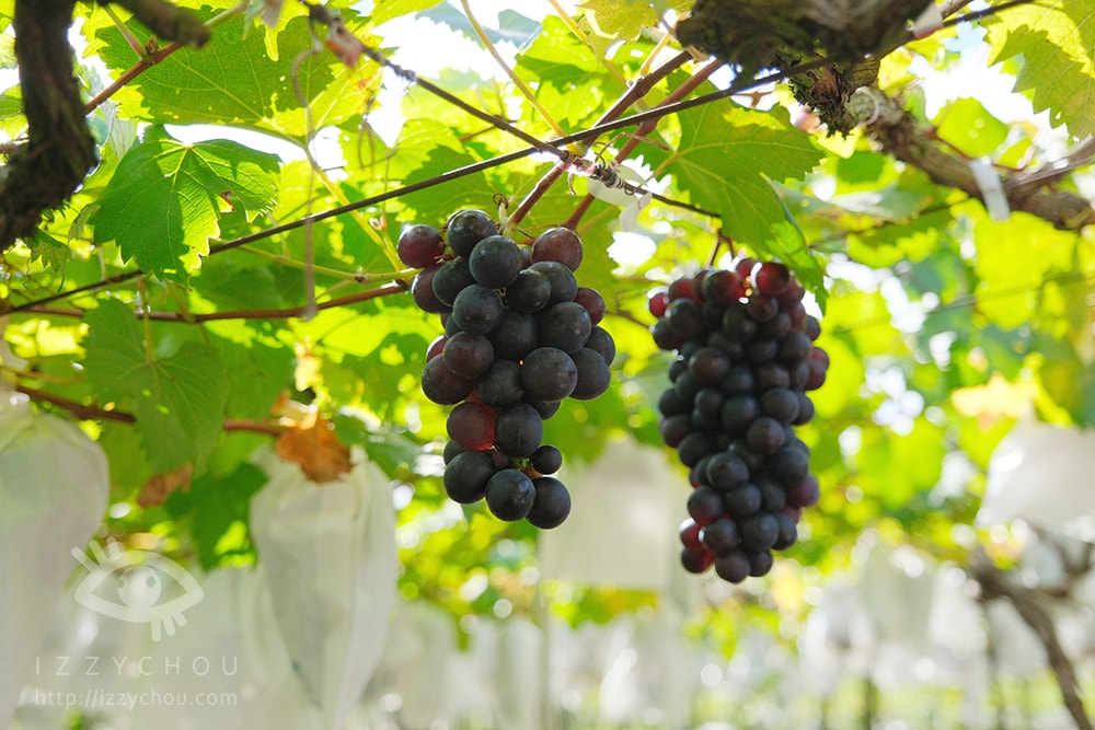 20251004-sthmq 20251004-sthmq