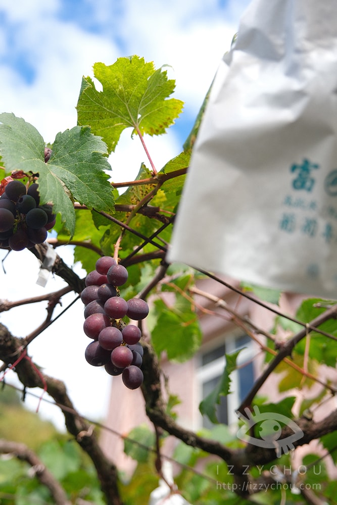 20251004-v7wcc 20251004-v7wcc