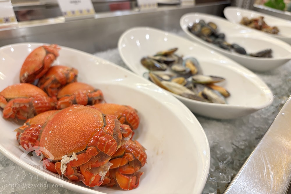 20251004-ayc48 20251004-ayc48