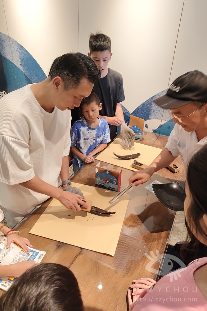 20251004-5hpqr 20251004-5hpqr