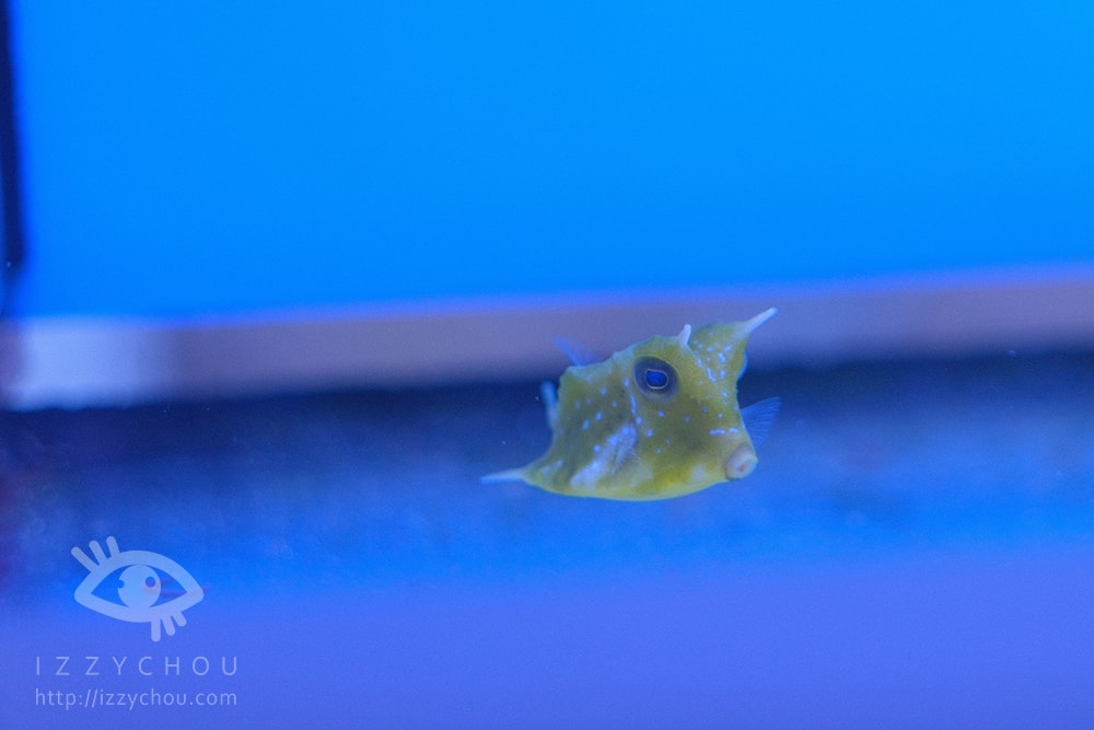 20251004-yj7sy 20251004-yj7sy