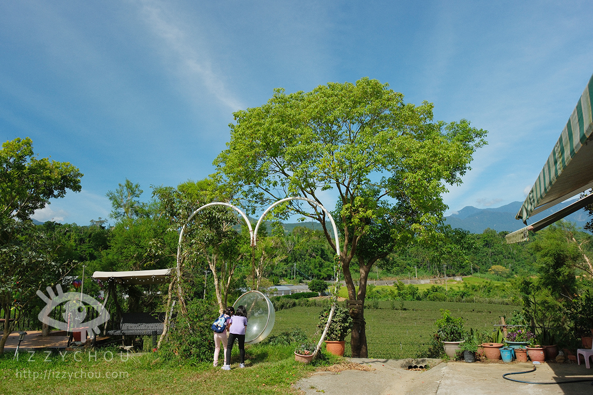 【台東親子旅遊推薦】佳芳休閒農場採茶體驗好好玩!DIY茶蛋捲、現調梅子綠茶,親子放電又長知識 - 第5張圖