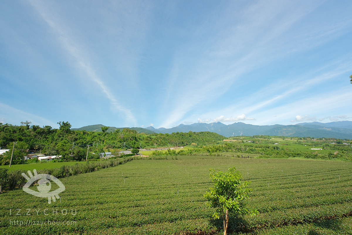 【台東親子旅遊推薦】佳芳休閒農場採茶體驗好好玩!DIY茶蛋捲、現調梅子綠茶,親子放電又長知識 - 第9張圖