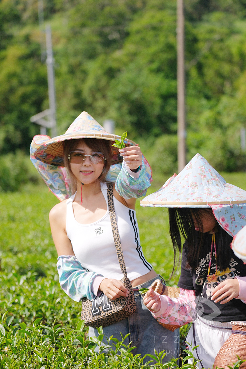 【台東親子旅遊推薦】佳芳休閒農場採茶體驗好好玩!DIY茶蛋捲、現調梅子綠茶,親子放電又長知識 - 第17張圖