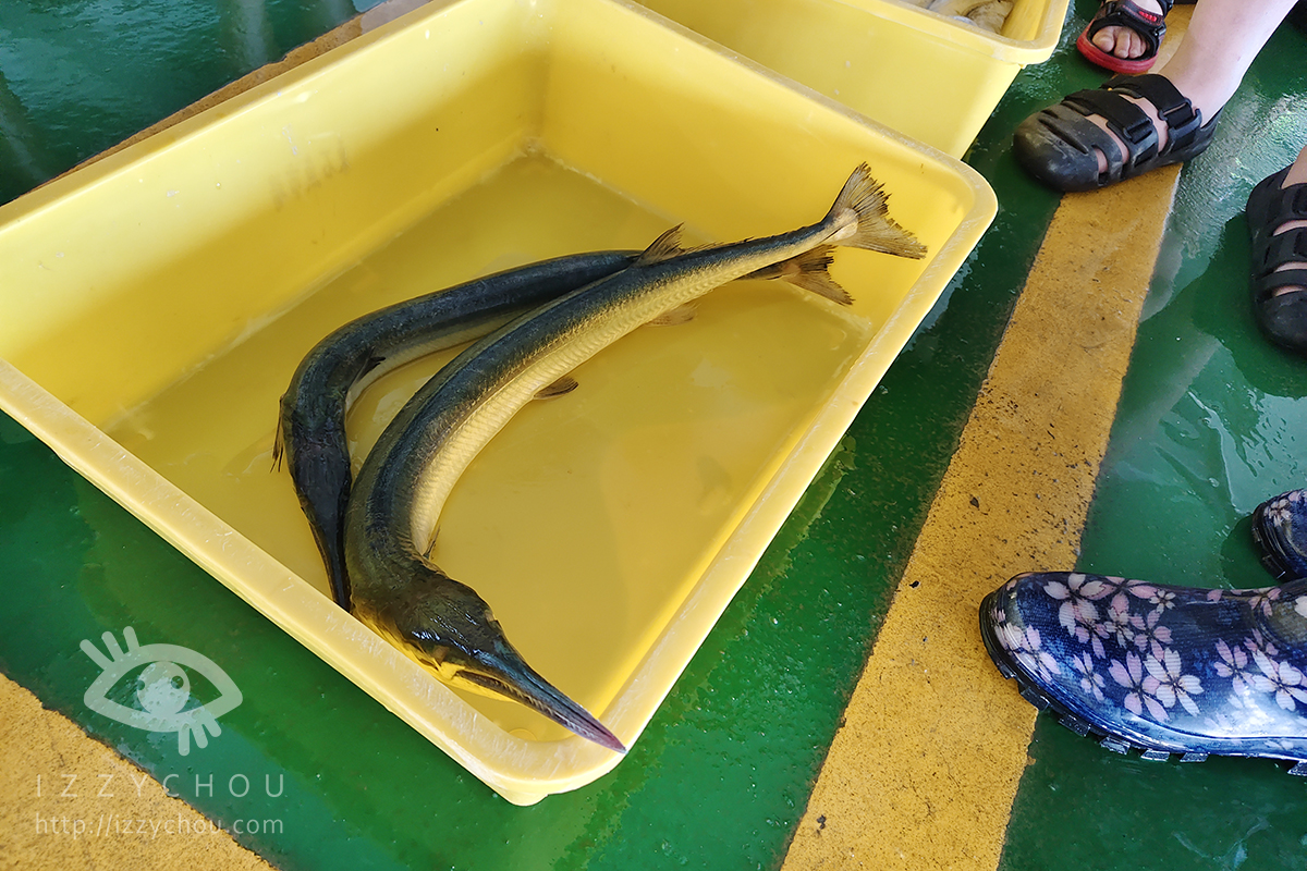 寒假親子營隊推薦|夢想1號鄉村永續營|東石在地體驗,學習海洋、農村與永續生活的真實課 - 第37張圖