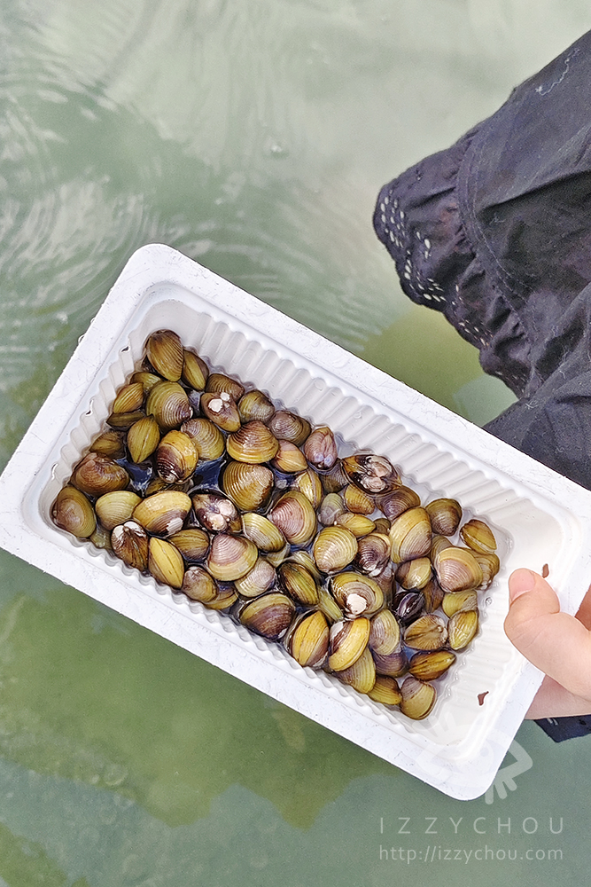 【花蓮立川漁場】親子必訪景點|摸黃金蜆體驗+免費魚丸湯!寓教於樂又好玩 - 第16張圖 Img 20251003 162412 拷貝