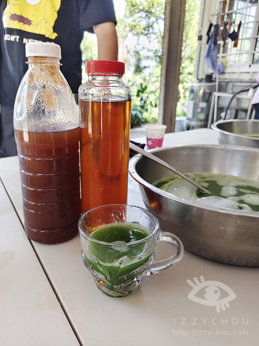 【台東親子旅遊推薦】佳芳休閒農場採茶體驗好好玩!DIY茶蛋捲、現調梅子綠茶,親子放電又長知識 - 第22張圖