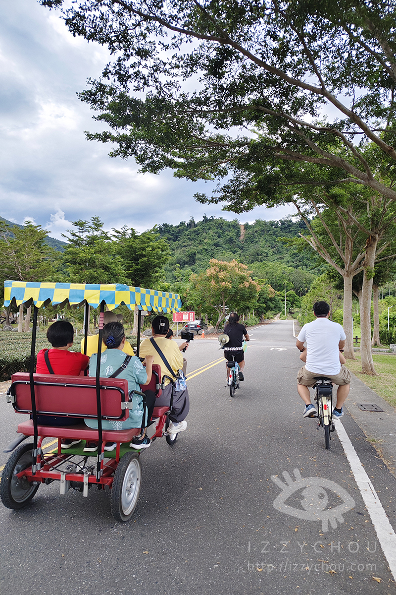 台東親子景點|鹿野龍田阿度的店:電輔車導覽綠色隧道、遠眺都蘭山與高台美景 - 第19張圖