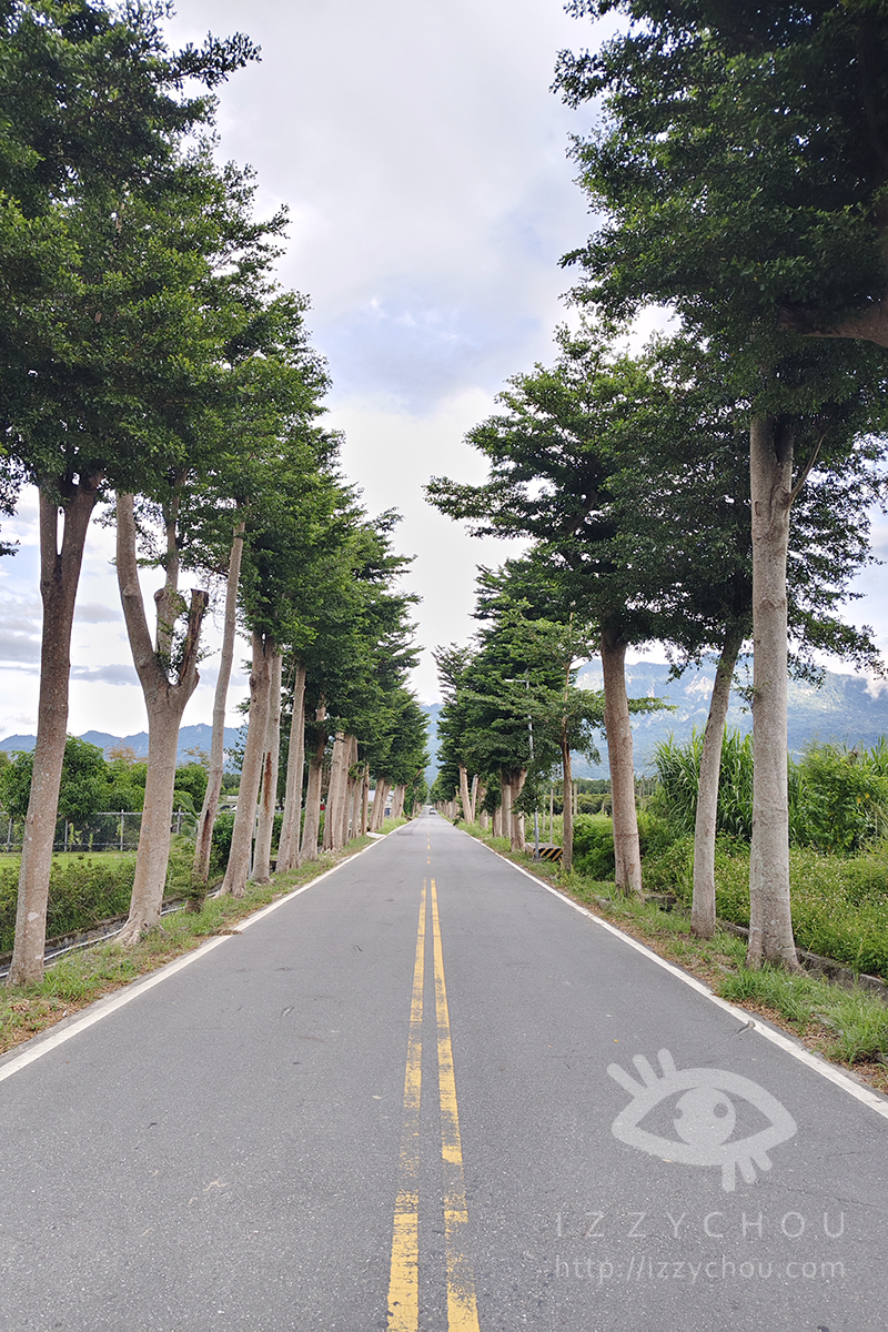 台東親子景點|鹿野龍田阿度的店:電輔車導覽綠色隧道、遠眺都蘭山與高台美景 - 第18張圖
