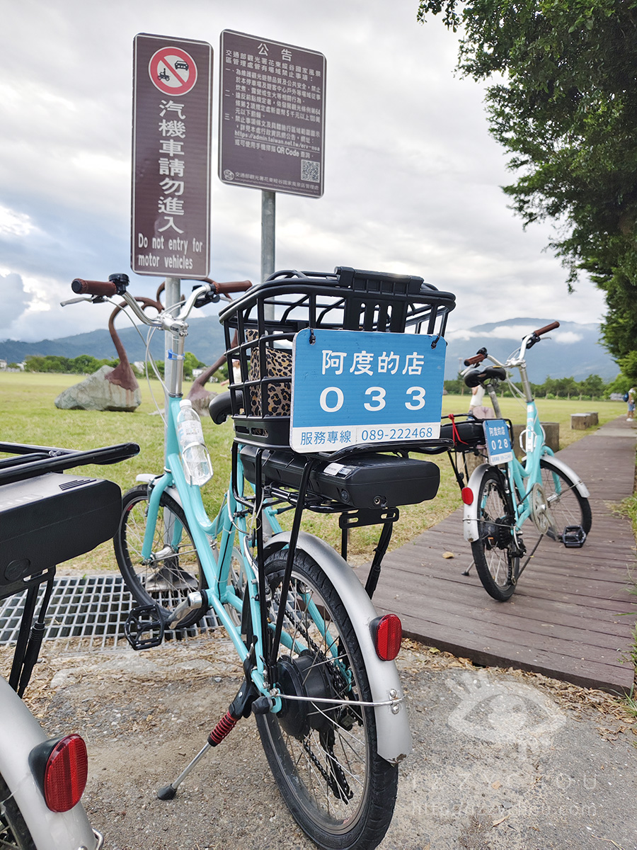 台東親子景點|鹿野龍田阿度的店:電輔車導覽綠色隧道、遠眺都蘭山與高台美景 - 第23張圖