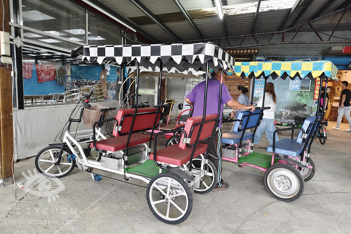 台東親子景點|鹿野龍田阿度的店:電輔車導覽綠色隧道、遠眺都蘭山與高台美景 - 第5張圖