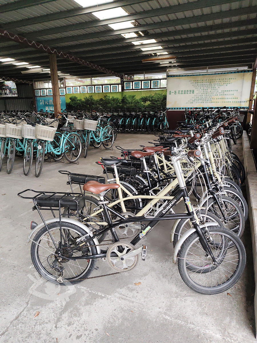 台東親子景點|鹿野龍田阿度的店:電輔車導覽綠色隧道、遠眺都蘭山與高台美景 - 第3張圖