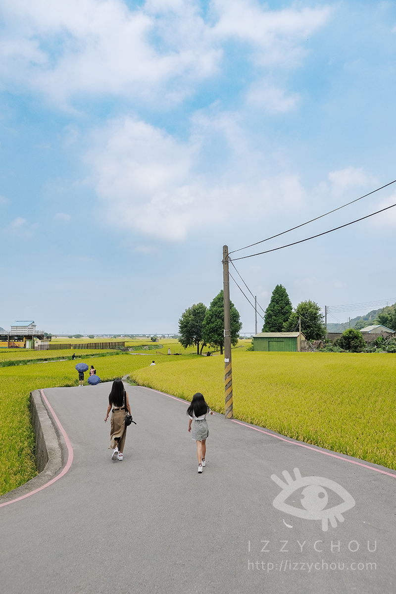 台中外埔忘憂谷|金色稻浪秘境,最佳觀賞季節、交通與拍照攻略 - 第11張圖