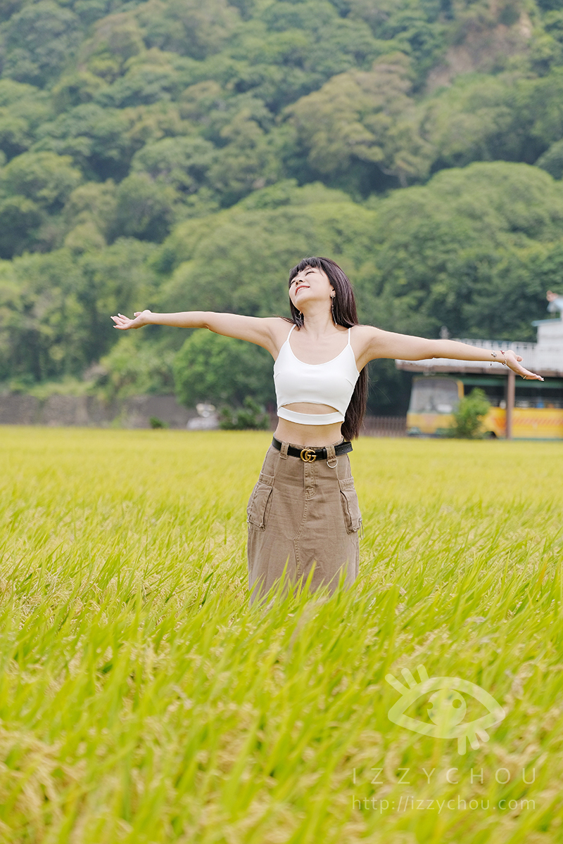 台中外埔忘憂谷|金色稻浪秘境,最佳觀賞季節、交通與拍照攻略 - 第5張圖