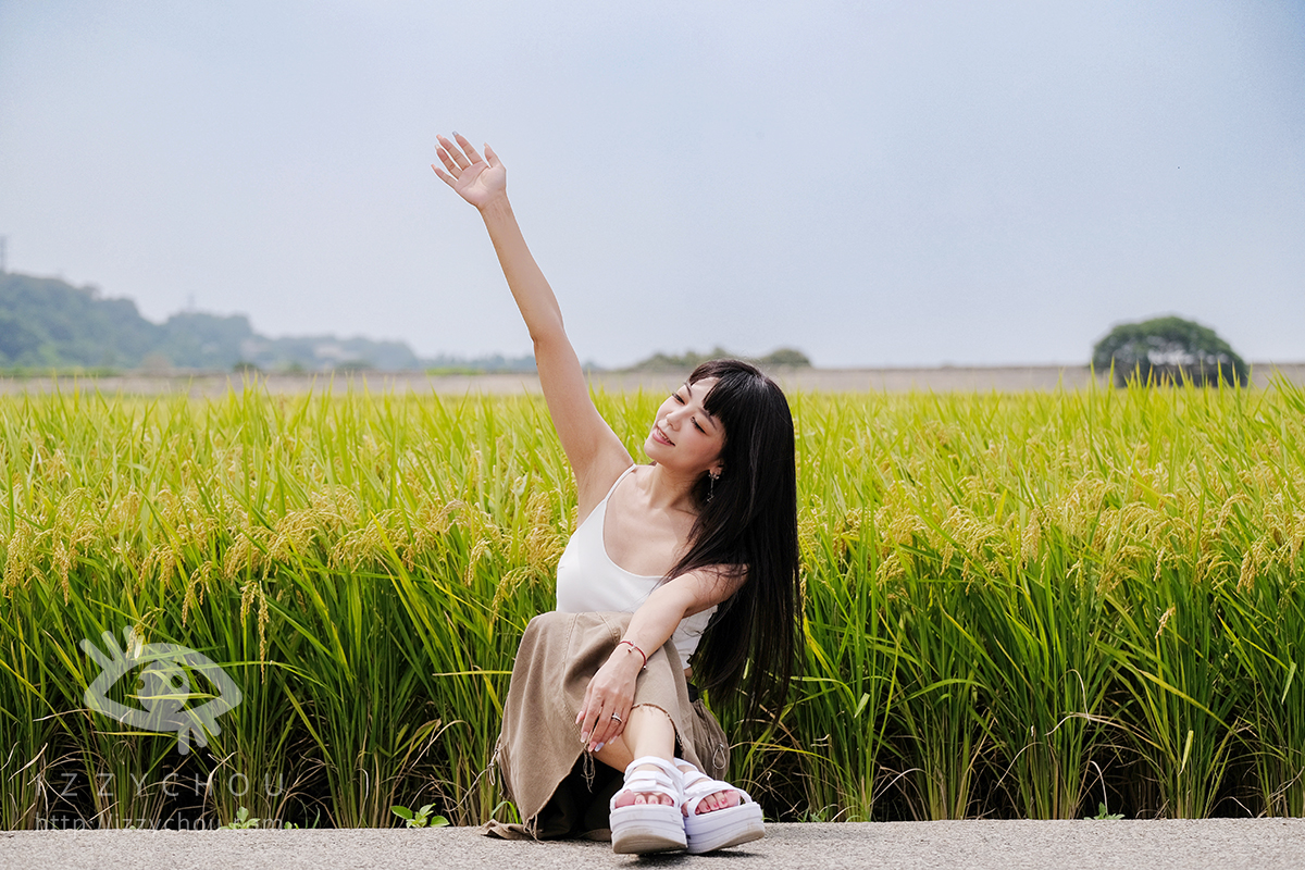 台中外埔忘憂谷|金色稻浪秘境,最佳觀賞季節、交通與拍照攻略 - 第14張圖