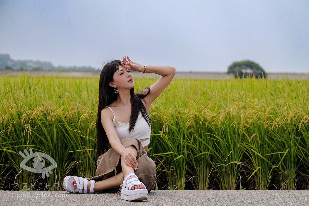 台中外埔忘憂谷|金色稻浪秘境,最佳觀賞季節、交通與拍照攻略 - 第15張圖