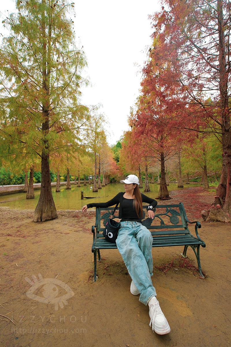 苗栗三灣落羽松莊園｜免費入場，周圍停車與內部環境資訊整理，輕鬆觀賞落雨松