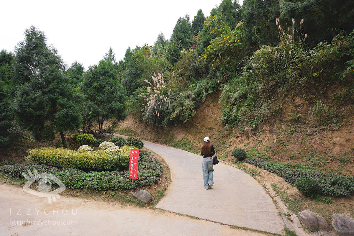 苗栗三灣落羽松莊園｜免費入場，周圍停車與內部環境資訊整理，輕鬆觀賞落雨松