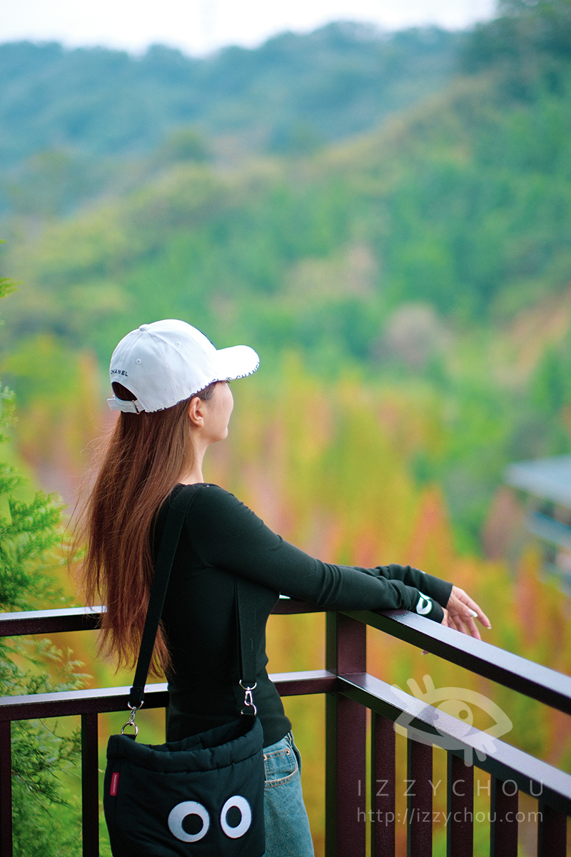 苗栗三灣落羽松莊園｜免費入場，周圍停車與內部環境資訊整理，輕鬆觀賞落雨松