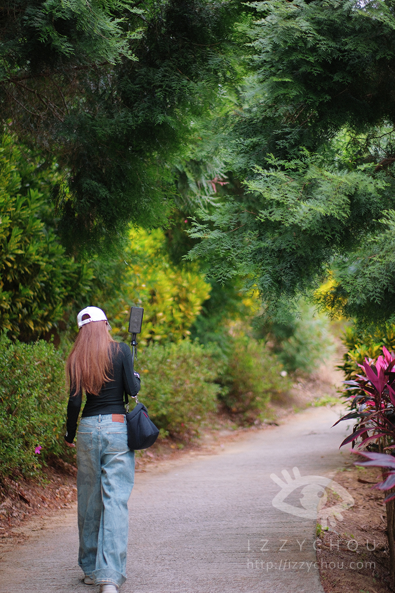 苗栗三灣落羽松莊園｜免費入場，周圍停車與內部環境資訊整理，輕鬆觀賞落雨松