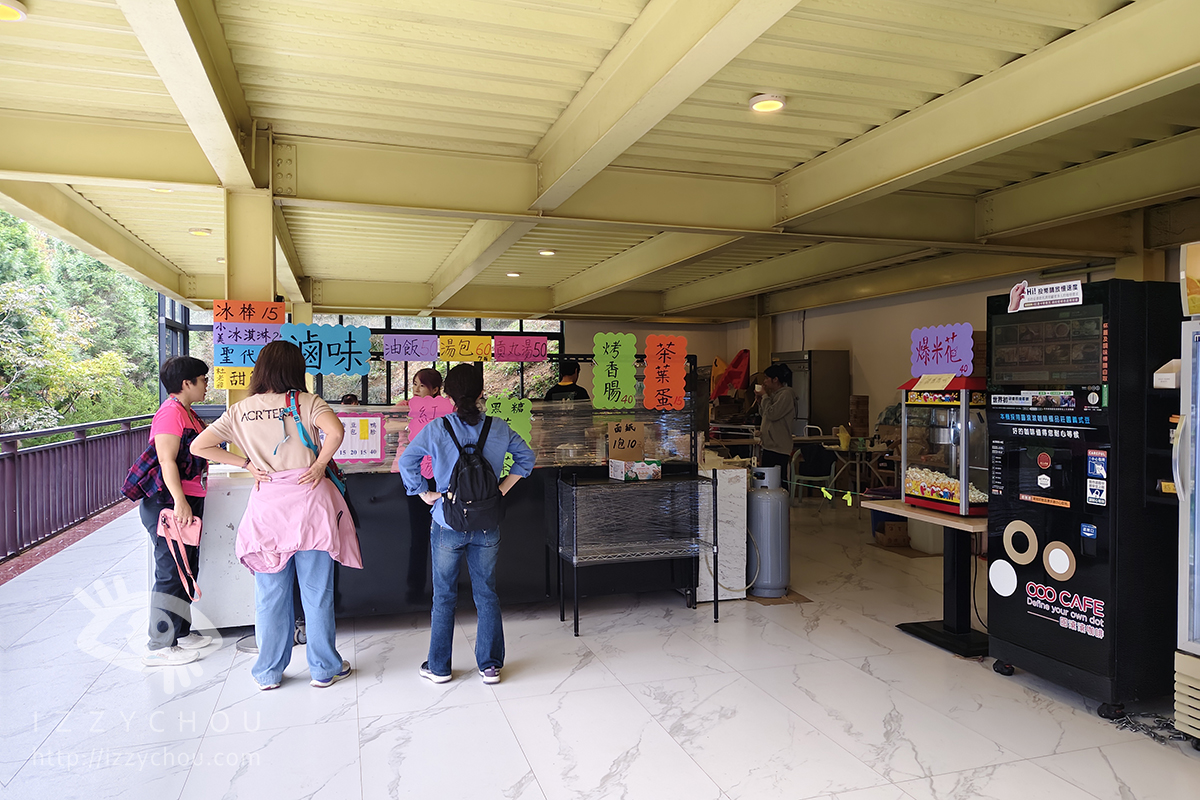 苗栗三灣落羽松莊園｜免費入場，周圍停車與內部環境資訊整理，輕鬆觀賞落雨松