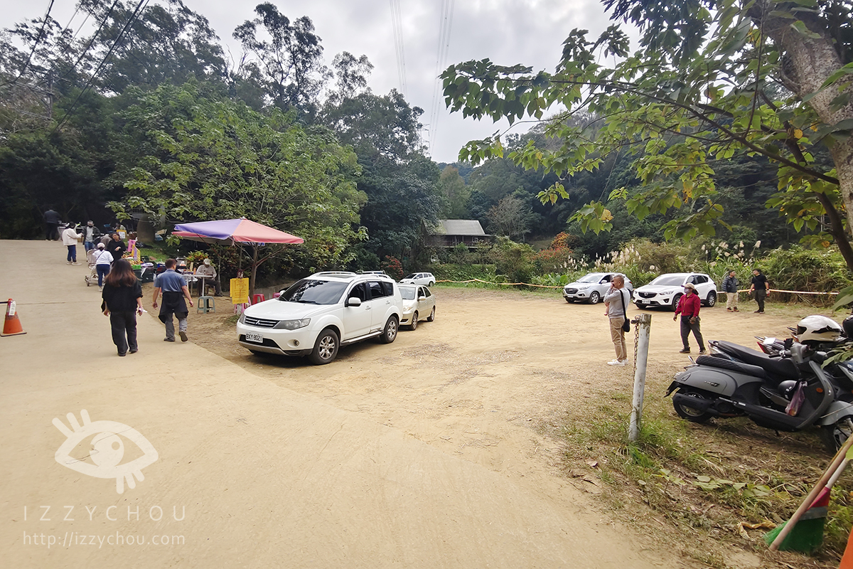 苗栗三灣落羽松莊園｜免費入場，周圍停車與內部環境資訊整理，輕鬆觀賞落雨松