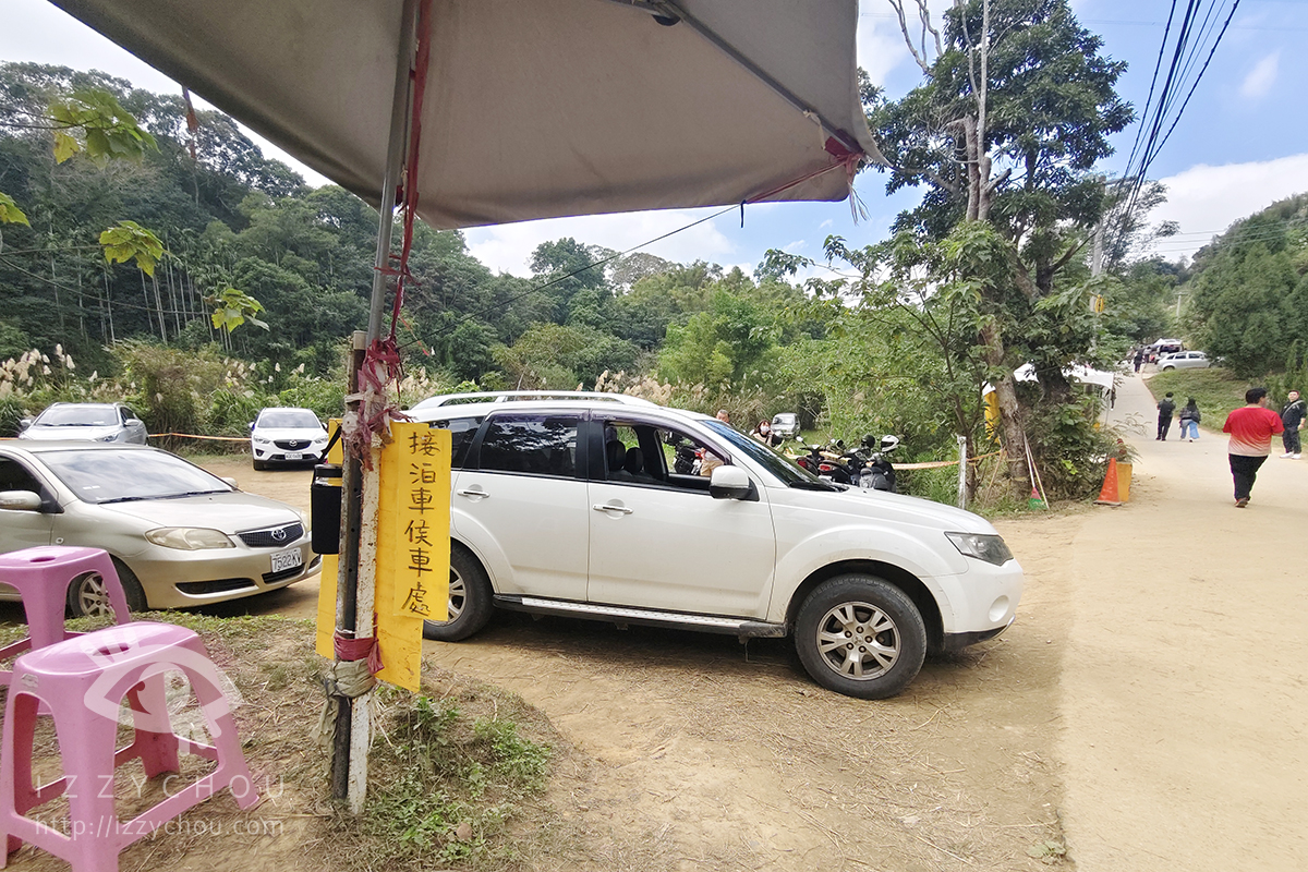 苗栗三灣落羽松莊園｜免費入場，周圍停車與內部環境資訊整理，輕鬆觀賞落雨松